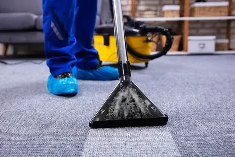 Professional deep carpet clean