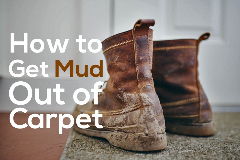 how to get mud out of carpet | COIT