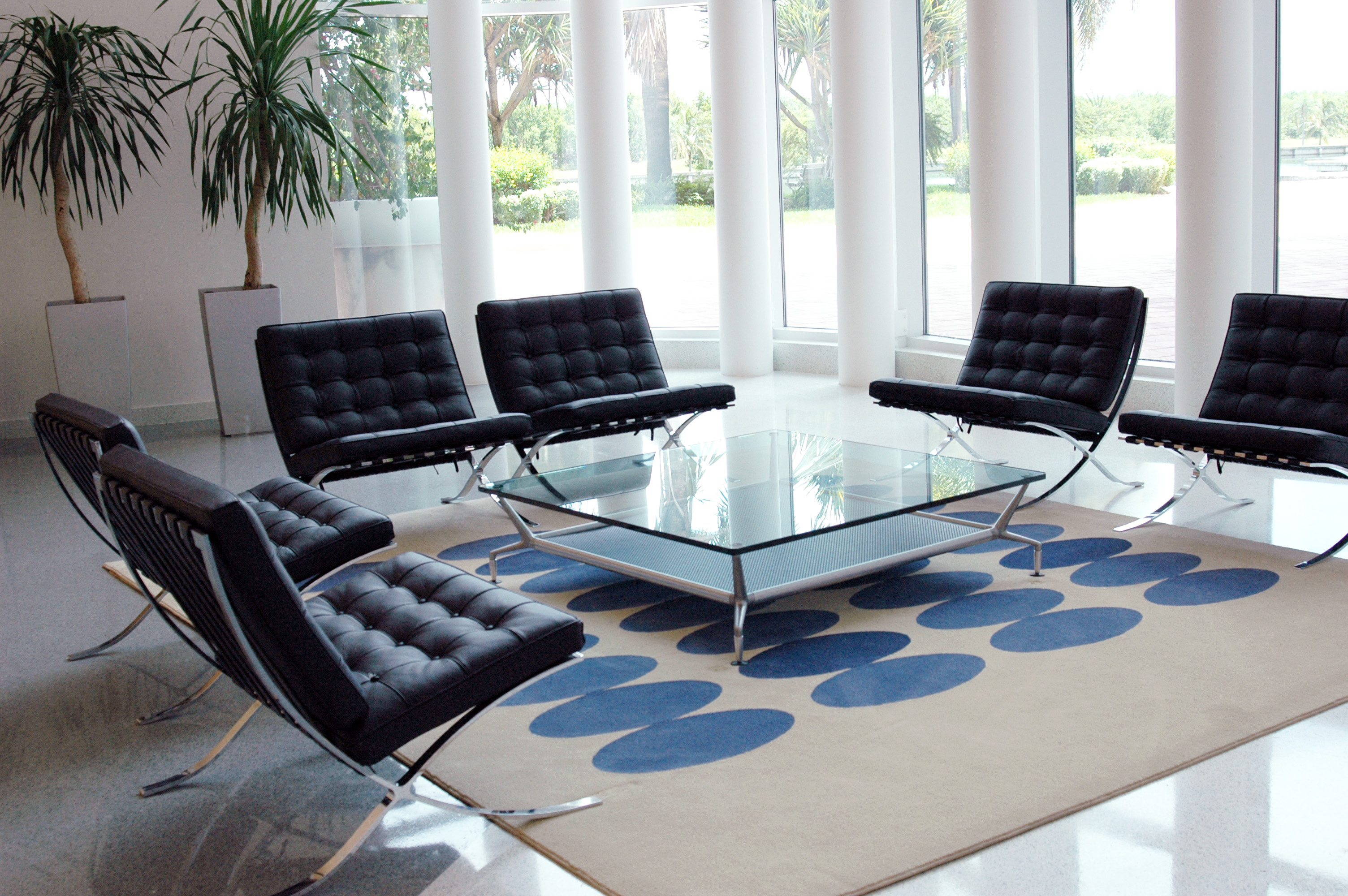 area rug commercial cleaning office rugs coit