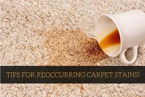 The Cause of Reappearing Carpet Stains COIT