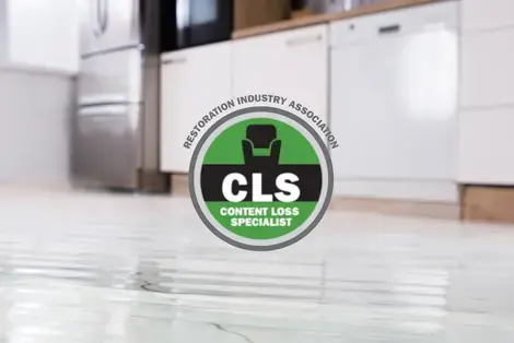 Content Loss Specialist Certification (CLS)