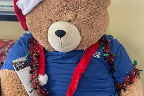 Stuffed teddy bear wearing a COIT t-shirt and Santa hat.