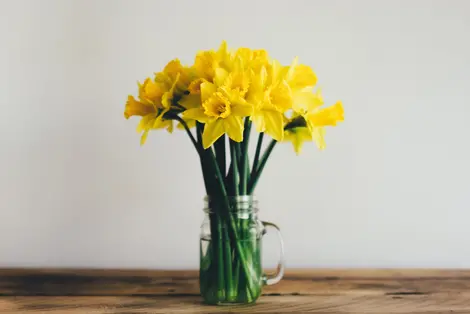 Yellow petal flower on clear glass vase