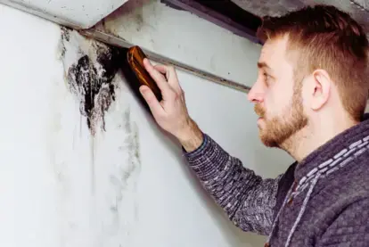 Mold in Your Air Ducts? Here’s How to Remove It for Good 