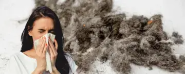 Dust—What Is It and How Does It Affect Your Home?