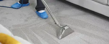 Carpet Cleaning