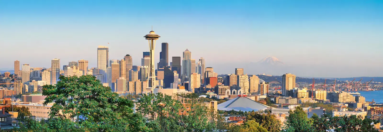 Superior Restoration, Seattle, WA - Hero