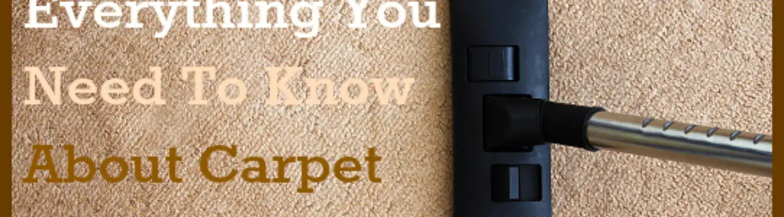 Steam cleaning tool running over carpet with words overlayed "Everything You Need to Know About Carpet Browning"