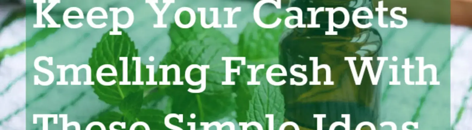 Keep Your Carpets Smelling Fresh with these simple Ideas