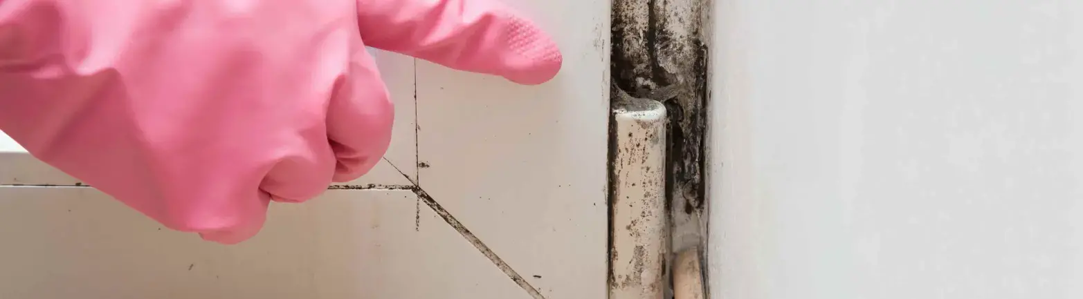 mold on corner of a cabinet 