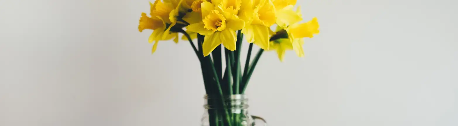 Yellow petal flower on clear glass vase