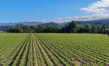 North Bay - About Us