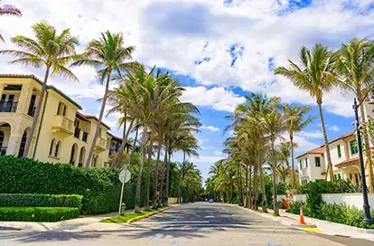 Palm Beach - About Us