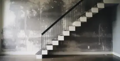 Combatting Black Mold in Salt Lake City Homes