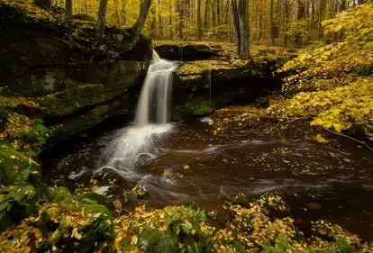 Geauga County