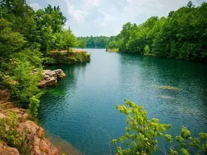 River with trees around