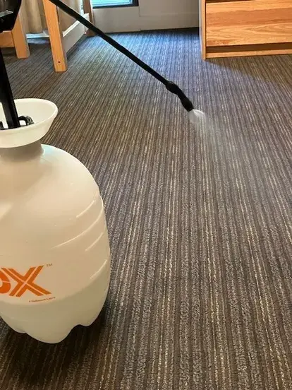 Spray bottle spraying liquid onto a carpet