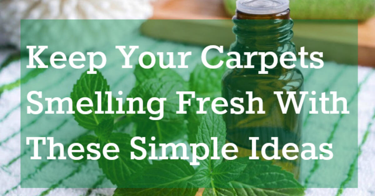 Keep Your Carpets Smelling Fresh with these Simple Ideas COIT