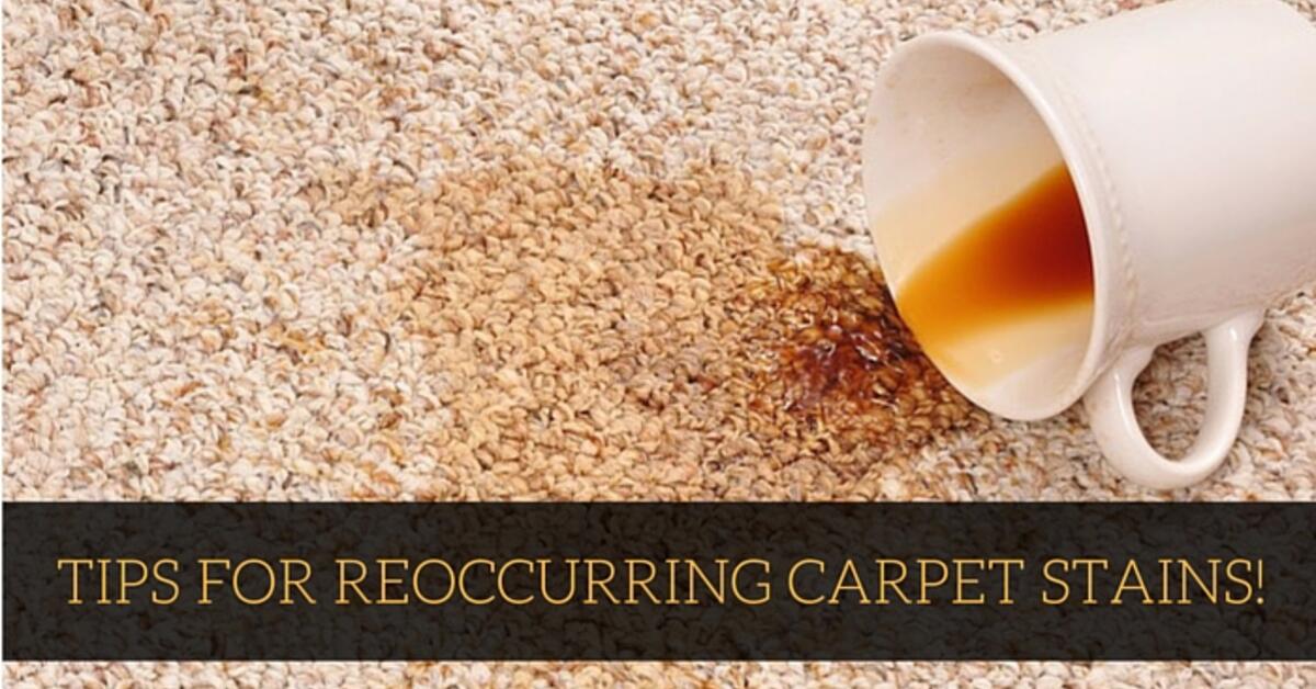 The Cause Of Reearing Carpet Stains Coit The Cause Of Reearing Carpet Stains Coit