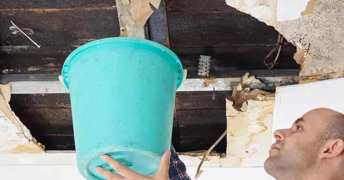 A1 Mold Remediation Massachusetts