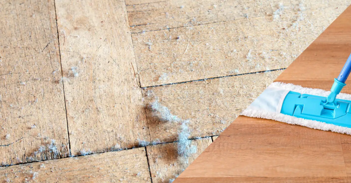 How Often Should You Dust Your Home? COIT