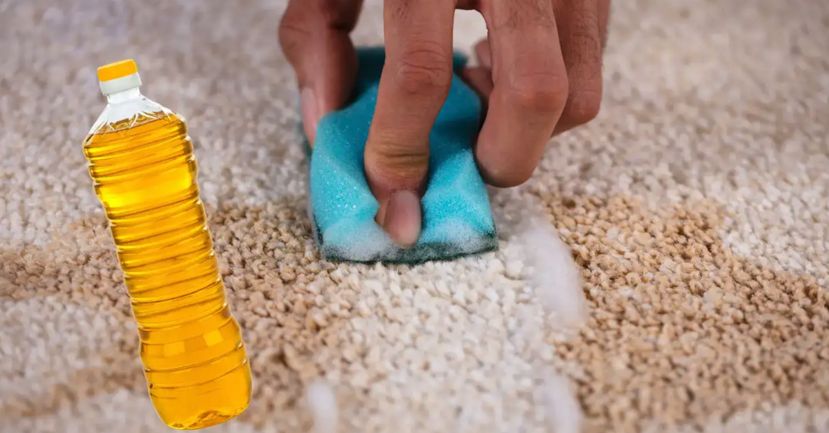 How to Get Oil Out of Carpet COIT’s Stain Removal Guide COIT