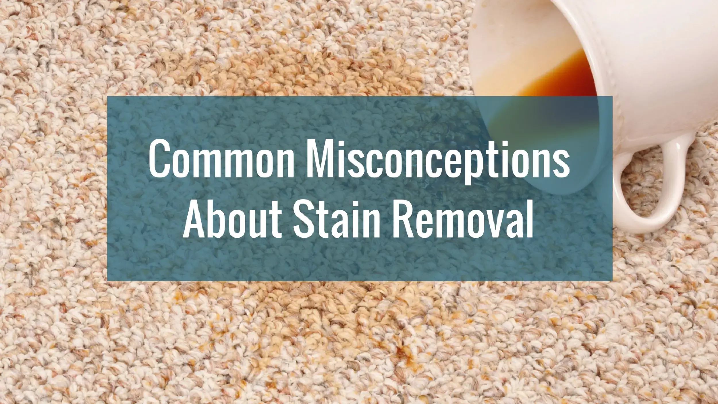 14 Common Misconceptions About Stain Removal