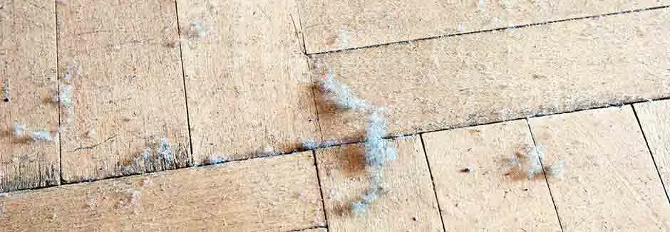 debris removal