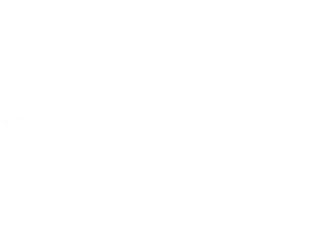 COIT Loyal Logo - White