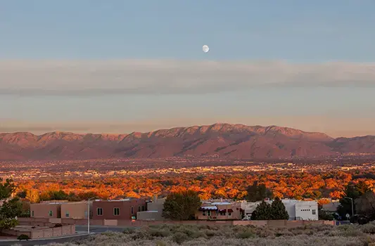 Albuquerque - About us