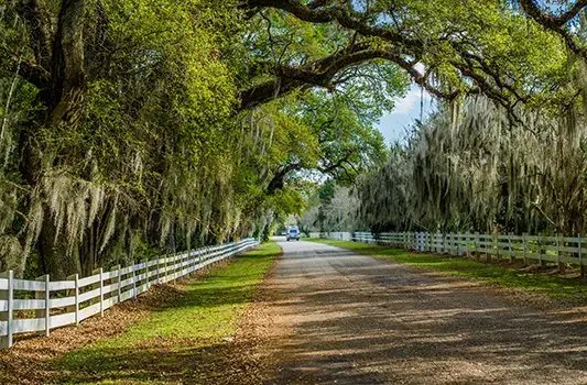 Louisiana - About us