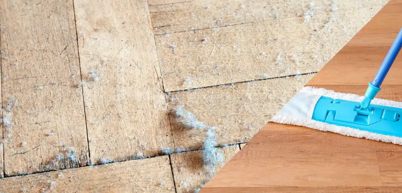 How Often Should You Dust Your Home?
