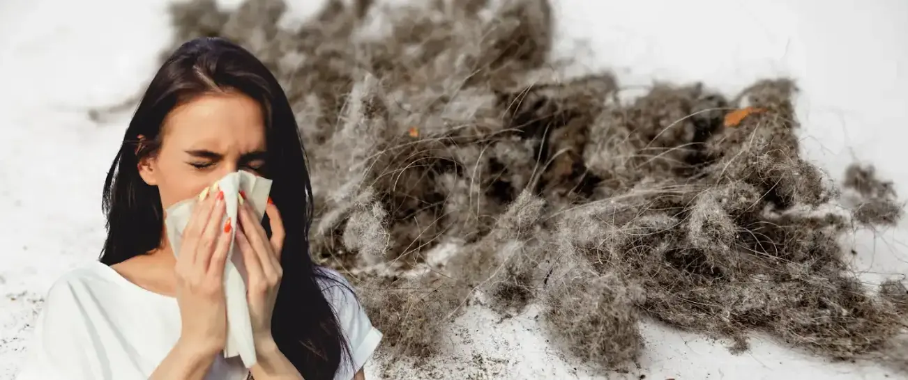 Dust—What Is It and How Does It Affect Your Home?