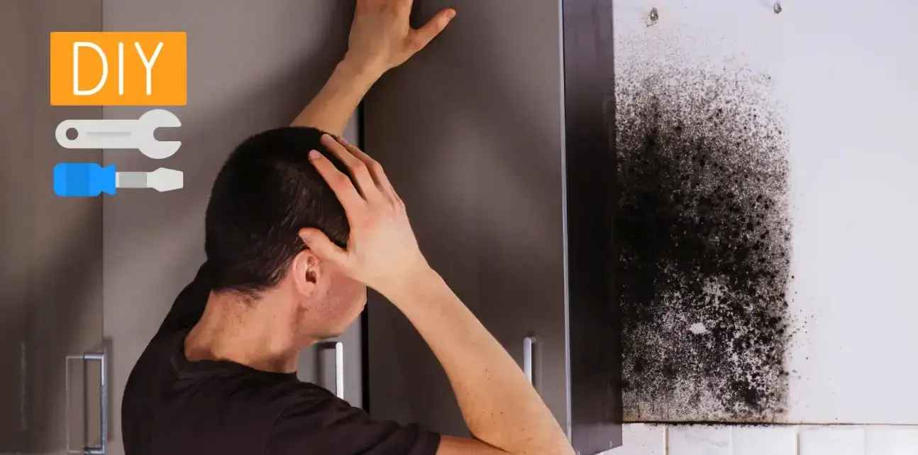 How to Do Mold Remediation Yourself