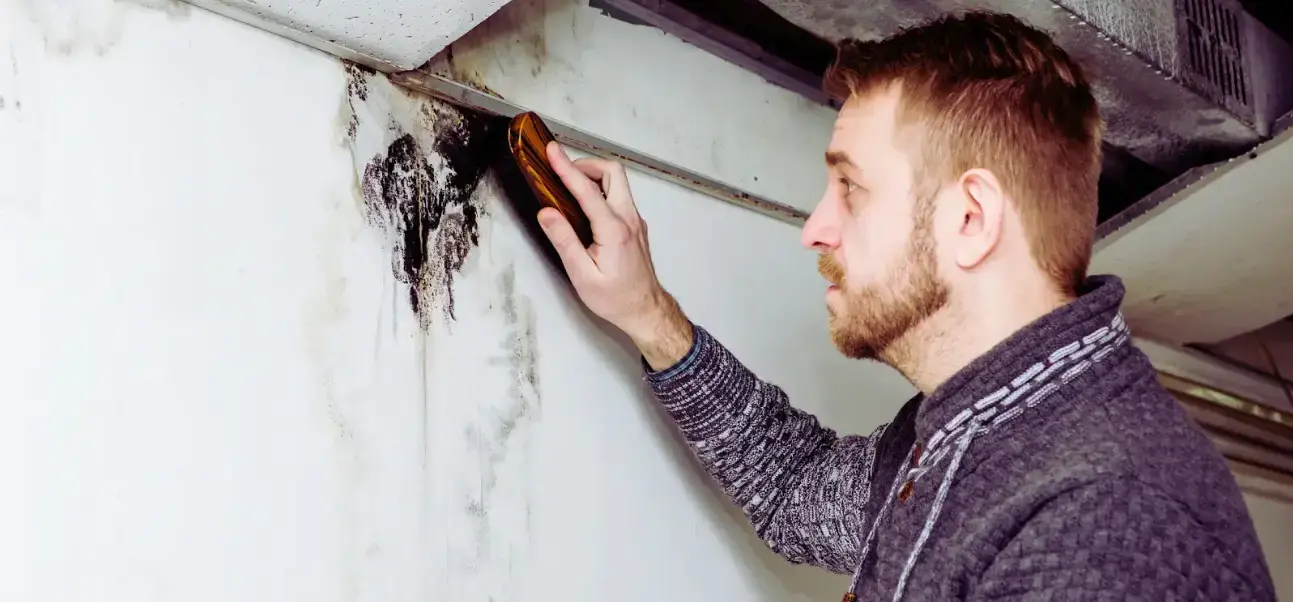 Mold in Your Air Ducts? Here’s How to Remove It for Good 