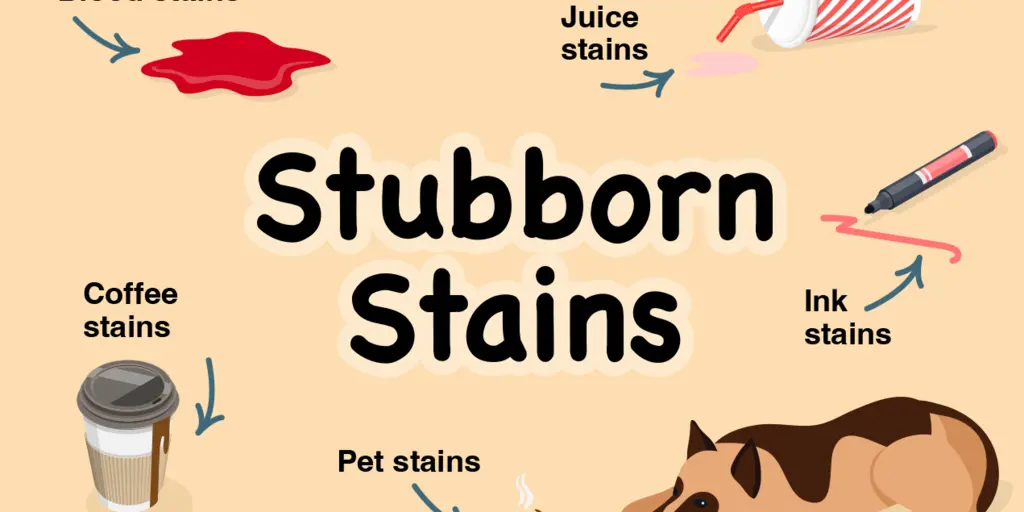 How to Remove Carpet Stains [Top 5 Carpet stains]